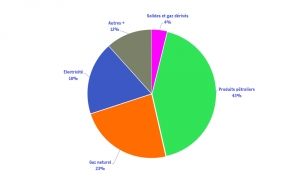 Répartition par vecteur de la consommation finale d'énergie en 2013