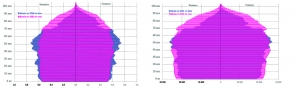 Pyramide des âges de la Wallonie en 2016 et en 2061 (en chiffres absolus et relatifs ou tranches d’âge exprimées en part de population)