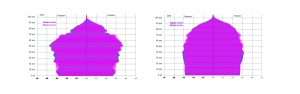 Pyramides des âges de la Wallonie et de la Belgique en 2015 et en 2061