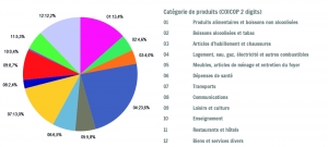 Dépenses de consommation finale des ménages wallons pour l’année 2013 (en %)