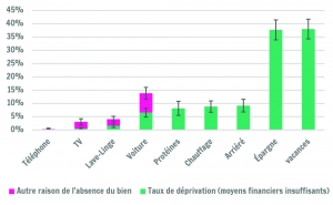 Fréquence des différents items de déprivation en Wallonie