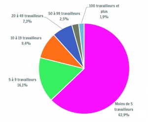 Répartition des unités locales (établissements) par classe d'importance des unités locales en Wallonie