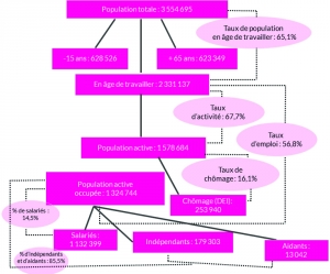 Structure d’activité selon les données administratives