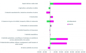 Croissance de l'emploi intérieur wallon par statut et par secteur d'activité, 2003-2014