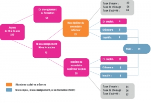 Structure d’activité des 18-24 ans en Wallonie en 2015