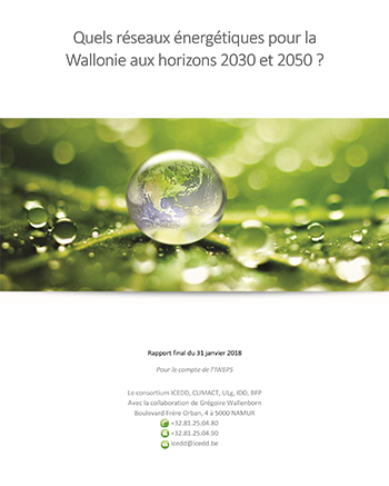 Quels réseaux énergétiques pour la Wallonie aux horizons 2030 et 2050 ?