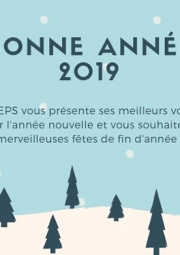 Bonne année 2019