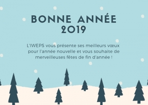 Bonne année 2019