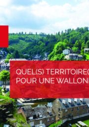 Futurama N°7, webinaire de prospective de l'IWEPS - Quel(s) territoire(s) pour une Wallonie en transition ?