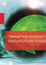Futurama N°8, webinaire de prospective de l’IWEPS – Transition énergétique en Wallonie : quels futurs possibles ?